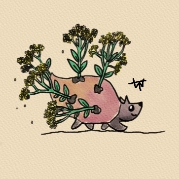Ucoti (animal)